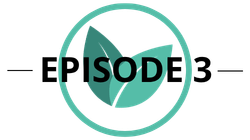 Overlooked Disease Solutions_Episode 3